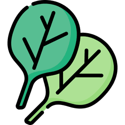 Spinach